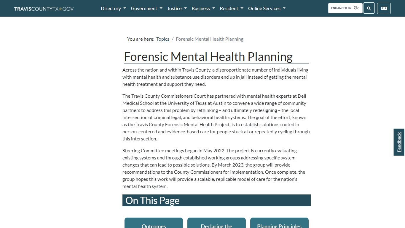 Forensic Mental Health Planning - Travis County, Texas